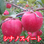 シナノスイート