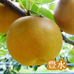 豊水