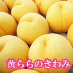 黄ららのきわみ